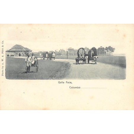 Rare collectable postcards of SRI LANKA. Vintage Postcards of SRI LANKA