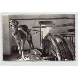 Rare collectable postcards of TUNISIA Tunisie. Vintage Postcards of TUNISIA Tunisie