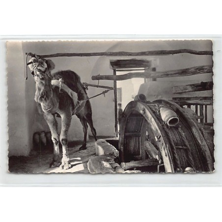 Rare collectable postcards of TUNISIA Tunisie. Vintage Postcards of TUNISIA Tunisie