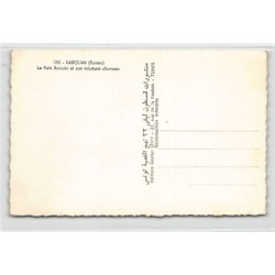 Rare collectable postcards of TUNISIA Tunisie. Vintage Postcards of TUNISIA Tunisie