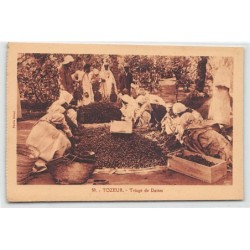 Rare collectable postcards of TUNISIA Tunisie. Vintage Postcards of TUNISIA Tunisie