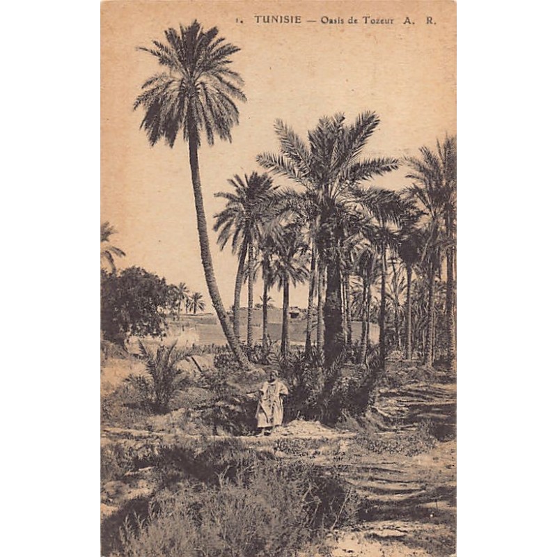 Rare collectable postcards of TUNISIA Tunisie. Vintage Postcards of TUNISIA Tunisie