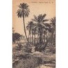 Rare collectable postcards of TUNISIA Tunisie. Vintage Postcards of TUNISIA Tunisie