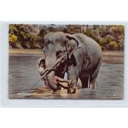 Rare collectable postcards of SRI LANKA. Vintage Postcards of SRI LANKA