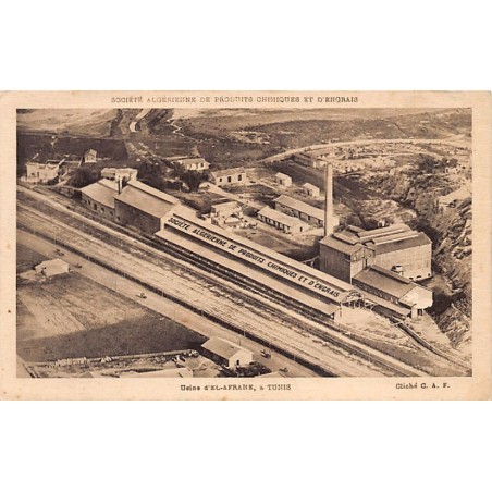 Rare collectable postcards of TUNISIA Tunisie. Vintage Postcards of TUNISIA Tunisie