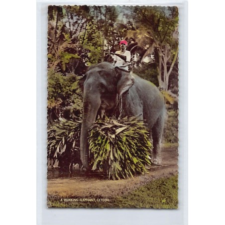 Rare collectable postcards of SRI LANKA. Vintage Postcards of SRI LANKA