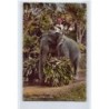 Rare collectable postcards of SRI LANKA. Vintage Postcards of SRI LANKA