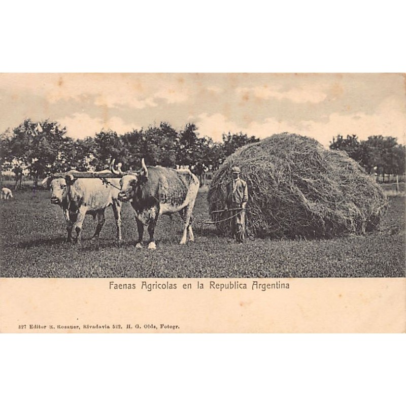 Rare collectable postcards of ARGENTINA. Vintage Postcards of ARGENTINA