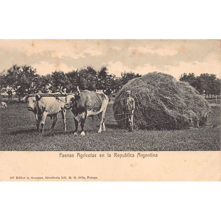 Rare collectable postcards of ARGENTINA. Vintage Postcards of ARGENTINA