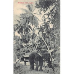 Rare collectable postcards of SRI LANKA. Vintage Postcards of SRI LANKA