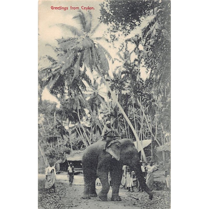 Rare collectable postcards of SRI LANKA. Vintage Postcards of SRI LANKA