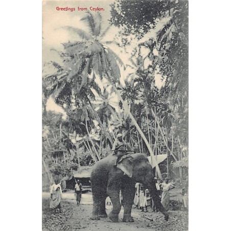 Rare collectable postcards of SRI LANKA. Vintage Postcards of SRI LANKA