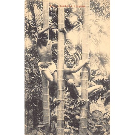 Rare collectable postcards of SRI LANKA. Vintage Postcards of SRI LANKA