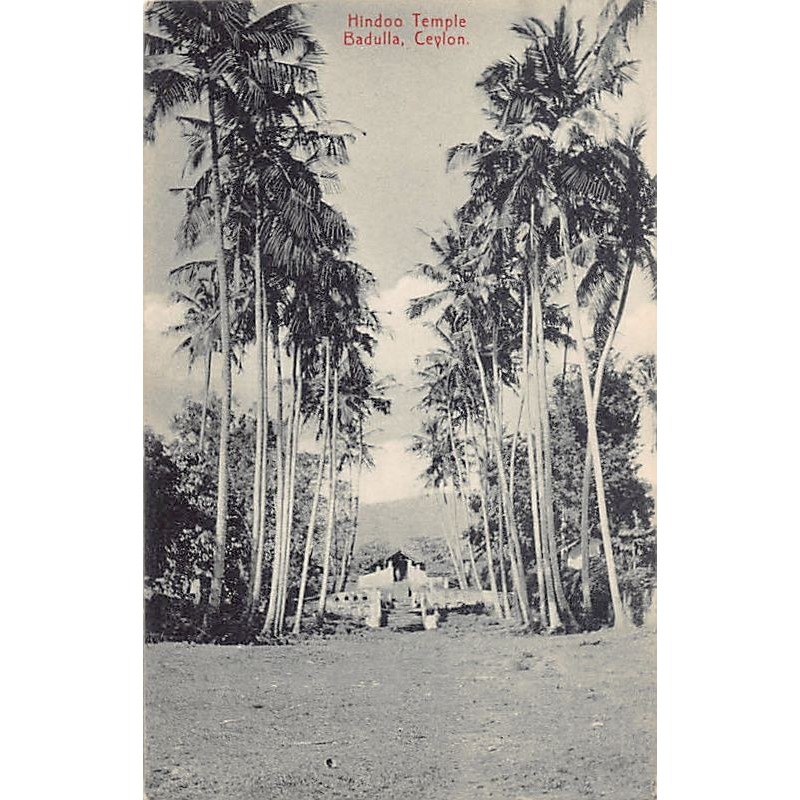 Rare collectable postcards of SRI LANKA. Vintage Postcards of SRI LANKA