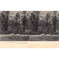 Rare collectable postcards of SRI LANKA. Vintage Postcards of SRI LANKA