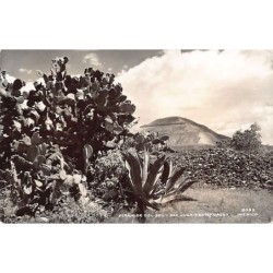 Rare collectable postcards of MEXICO. Vintage Postcards of MEXICO