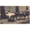 Rare collectable postcards of MEXICO. Vintage Postcards of MEXICO