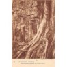 Rare collectable postcards of CAMBODIA. Vintage Postcards of CAMBODIA