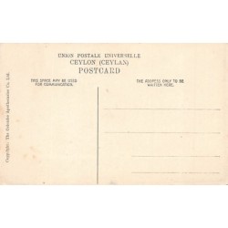 Rare collectable postcards of SRI LANKA. Vintage Postcards of SRI LANKA