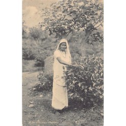 Rare collectable postcards of SRI LANKA. Vintage Postcards of SRI LANKA