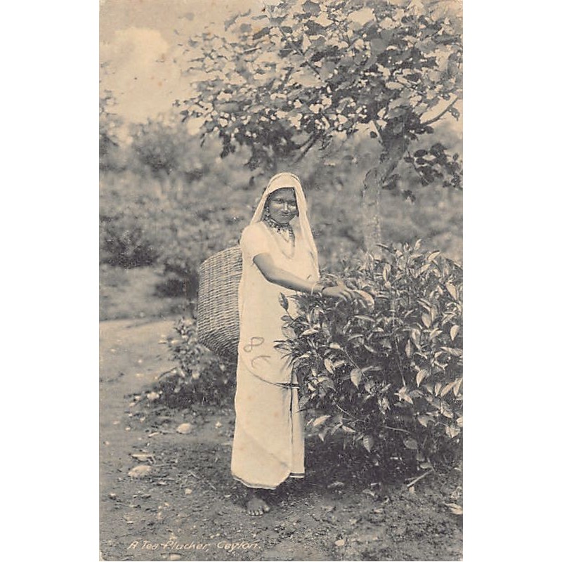 Rare collectable postcards of SRI LANKA. Vintage Postcards of SRI LANKA