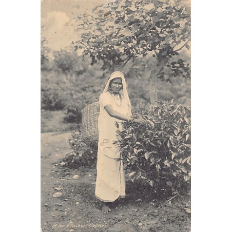 Rare collectable postcards of SRI LANKA. Vintage Postcards of SRI LANKA