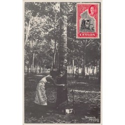 Rare collectable postcards of SRI LANKA. Vintage Postcards of SRI LANKA