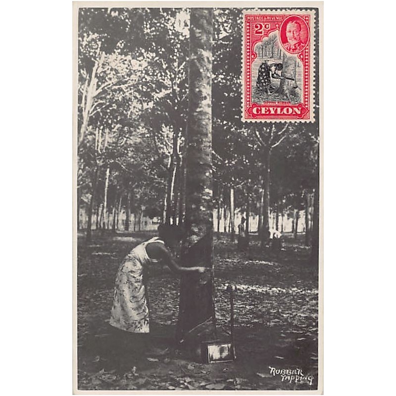 Rare collectable postcards of SRI LANKA. Vintage Postcards of SRI LANKA