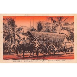 Rare collectable postcards of SRI LANKA. Vintage Postcards of SRI LANKA