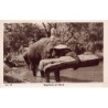 Rare collectable postcards of INDIA. Vintage Postcards of INDIA
