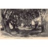 Rare collectable postcards of INDIA. Vintage Postcards of INDIA