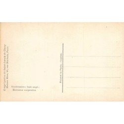 Rare collectable postcards of INDIA. Vintage Postcards of INDIA