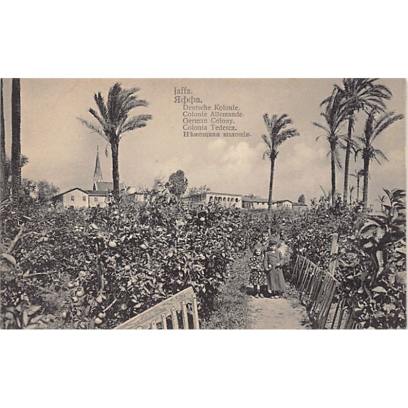 Rare collectable postcards of ISRAEL & PALETSINE. Vintage Postcards of ISRAEL & PALETSINE