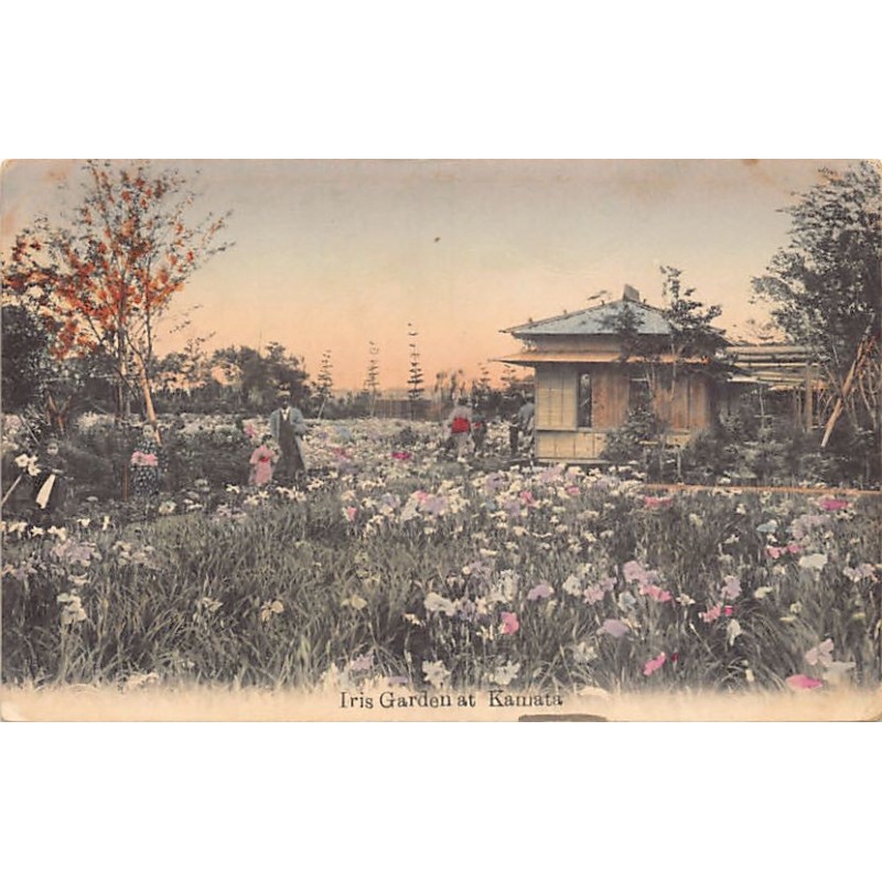Rare collectable postcards of JAPAN. Vintage Postcards of JAPAN