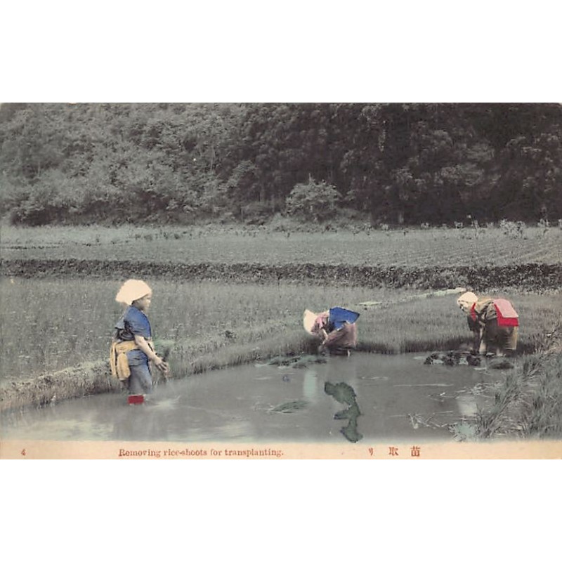 Rare collectable postcards of JAPAN. Vintage Postcards of JAPAN