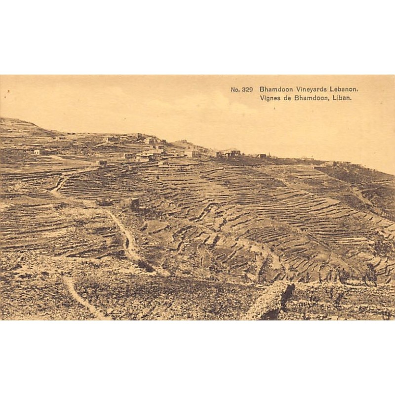 Rare collectable postcards of LEBANON. Vintage Postcards of LEBANON