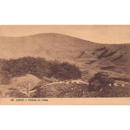 Rare collectable postcards of LEBANON. Vintage Postcards of LEBANON