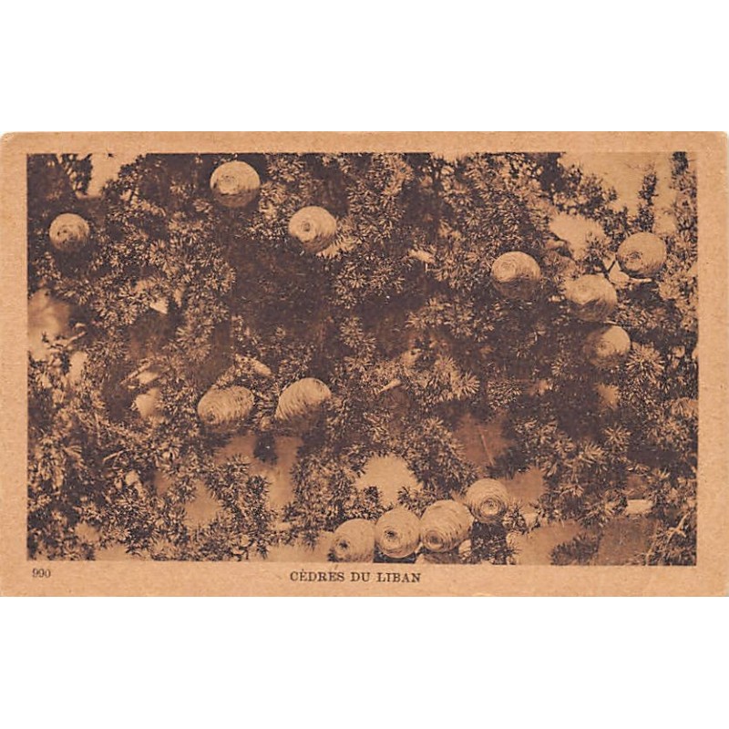 Rare collectable postcards of LEBANON. Vintage Postcards of LEBANON