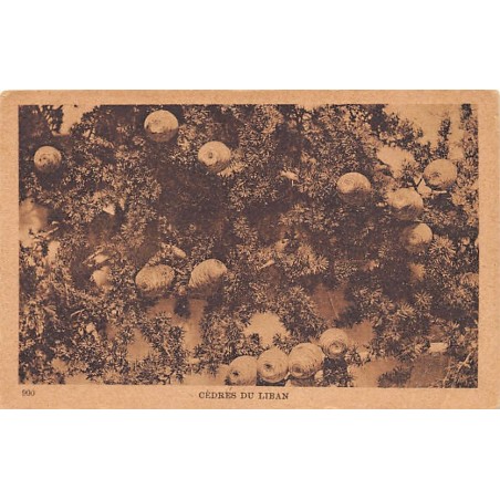 Rare collectable postcards of LEBANON. Vintage Postcards of LEBANON