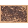 Rare collectable postcards of LEBANON. Vintage Postcards of LEBANON