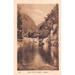 Rare collectable postcards of LEBANON. Vintage Postcards of LEBANON