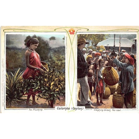SRI LANKA - Tea Plucking - Weighing Green Tea Leaf - Publ. The Colombo Apothecaries 3388