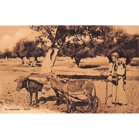Rare collectable postcards of LEBANON. Vintage Postcards of LEBANON