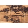 Rare collectable postcards of LEBANON. Vintage Postcards of LEBANON