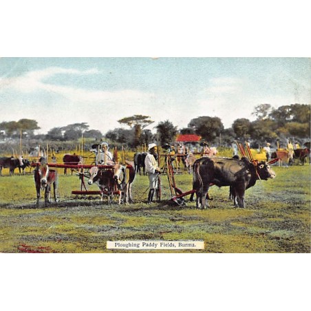 Rare collectable postcards of MYANMAR Burma. Vintage Postcards of MYANMAR Burma