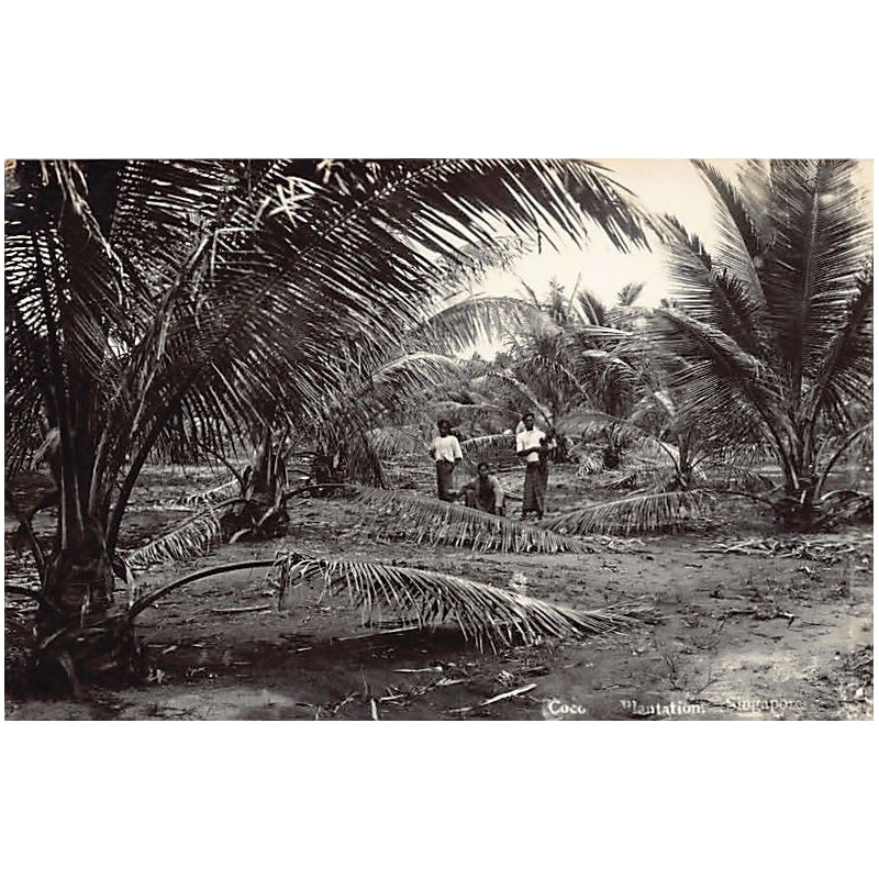 Rare collectable postcards of SINGAPORE. Vintage Postcards of SINGAPORE