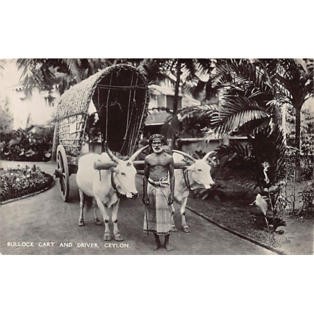 Rare collectable postcards of SRI LANKA. Vintage Postcards of SRI LANKA