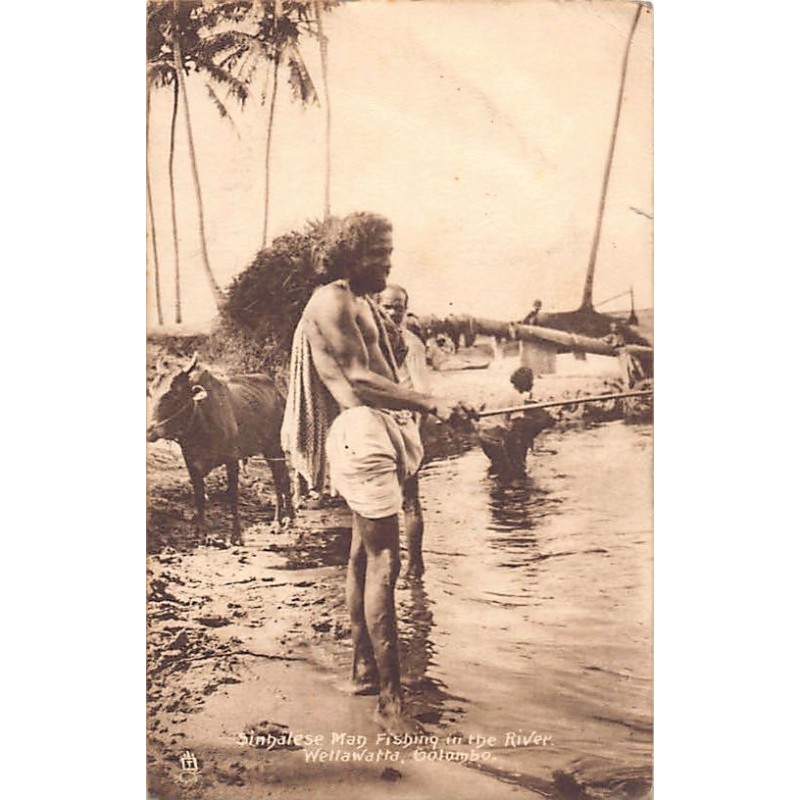 Rare collectable postcards of SRI LANKA. Vintage Postcards of SRI LANKA