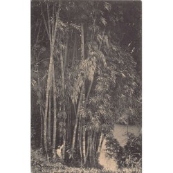 Rare collectable postcards of SRI LANKA. Vintage Postcards of SRI LANKA