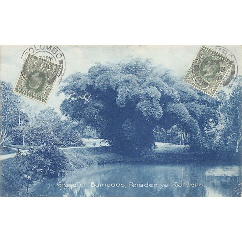 Rare collectable postcards of SRI LANKA. Vintage Postcards of SRI LANKA